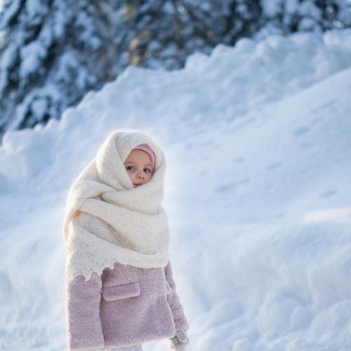 Photo #4068086