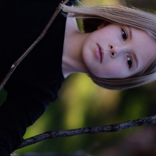 Photo #4068150