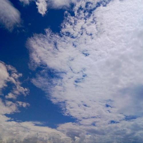 Photo #4068699