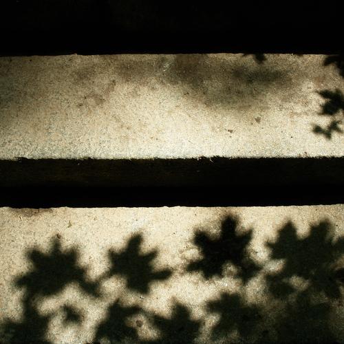 Photo #4068767