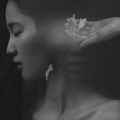 Veil