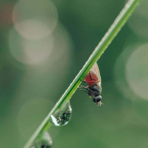 Photo #4069196