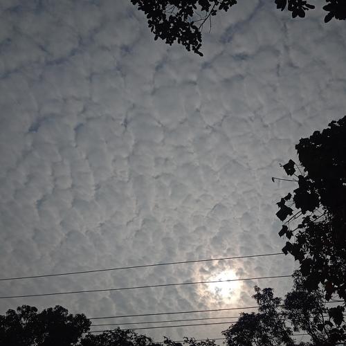 Photo #4069313