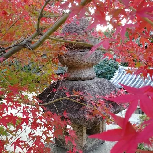 Photo #4069537