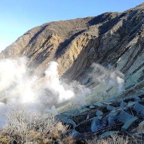 Photo #4069586