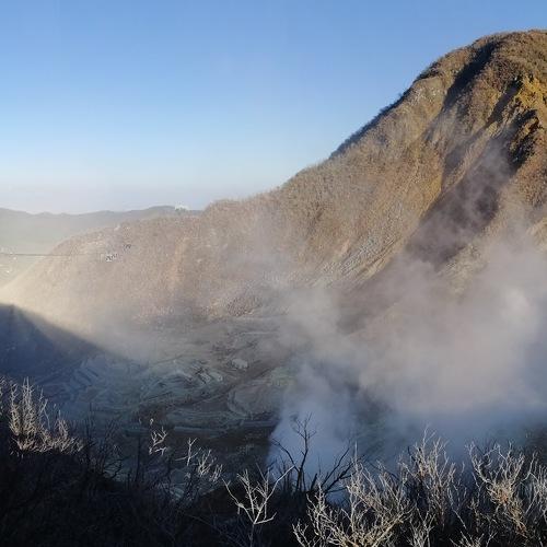 Photo #4069587