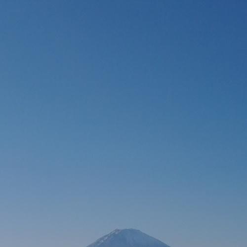 Photo #4069589