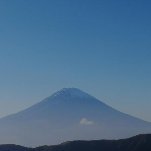 Photo #4069590
