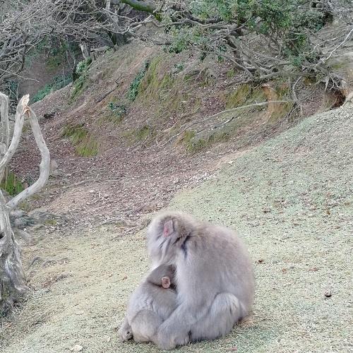 Photo #4069614