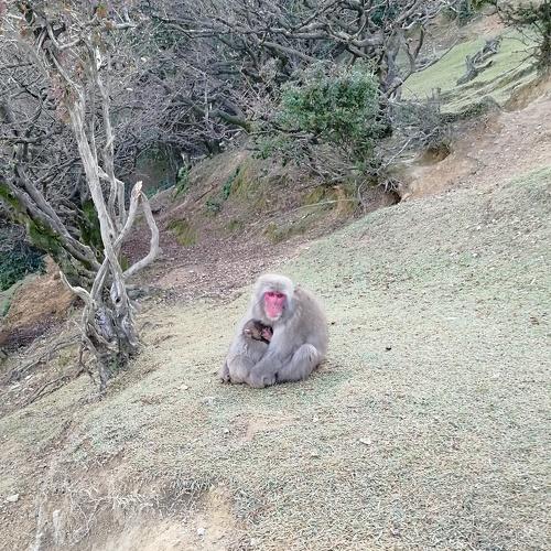 Photo #4069615