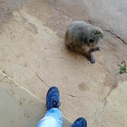 Photo #4069623