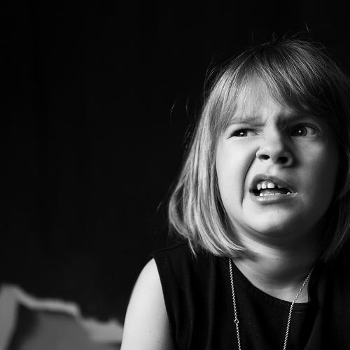Photo #4069637