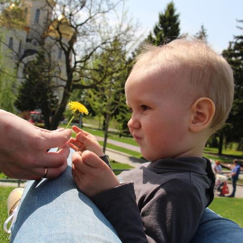 Photo #4069722
