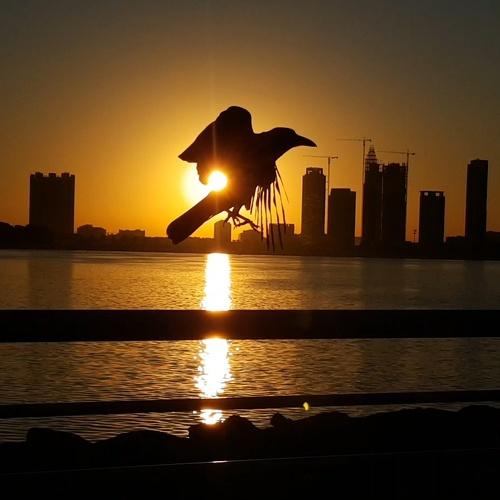 Photo #4069756