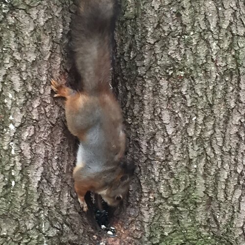 Photo #4069804