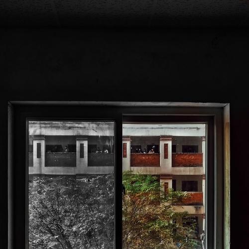 Photo #4069897