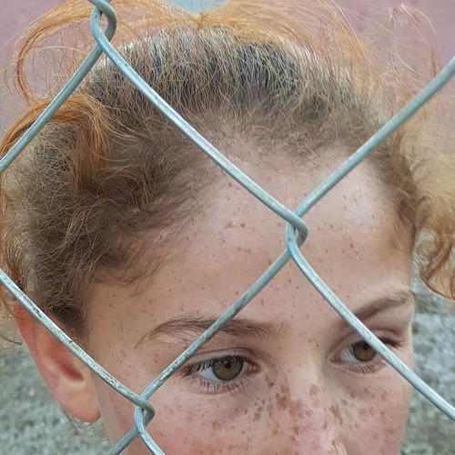 Photo #4069973