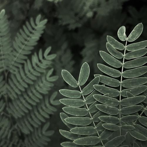 Green life