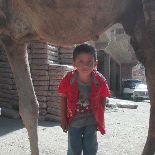 Photo #4070087