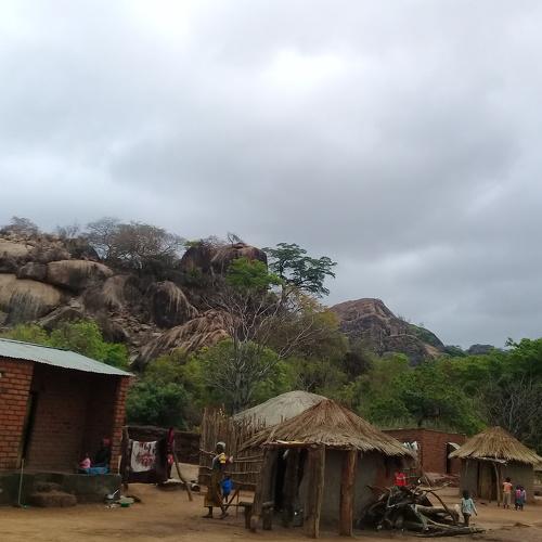 LIFE IN THE VILLAGE