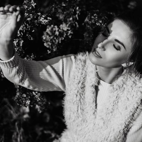 Photo #4070918