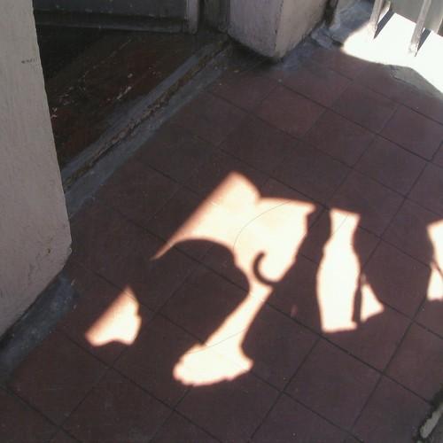 Photo #4070975