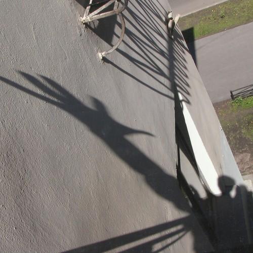 Photo #4070979