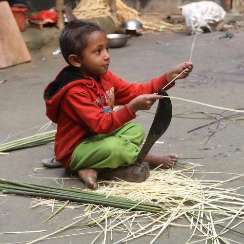 Photo #4070988