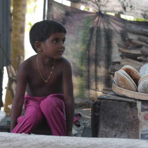 Photo #4071044