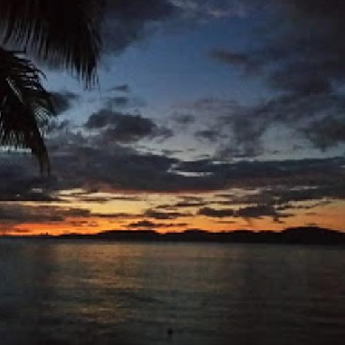 Photo #4071256