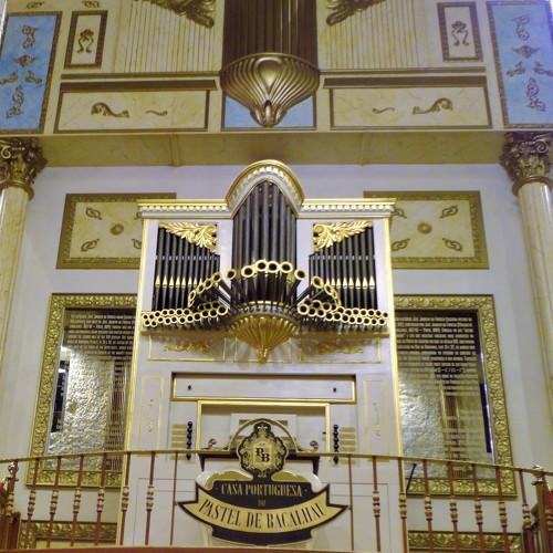Photo #4071465