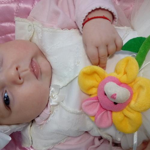 Photo #4071572