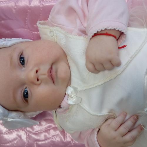 Photo #4071573