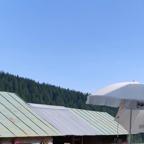 Photo #4071665
