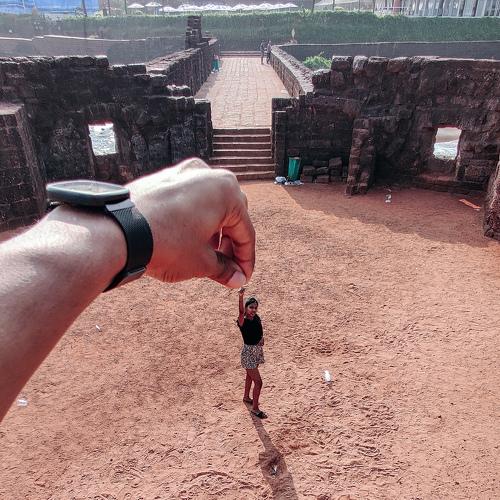 Photo #4071670