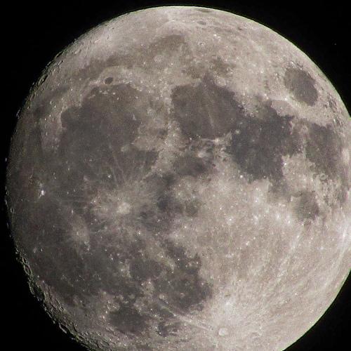 Photo #4071735