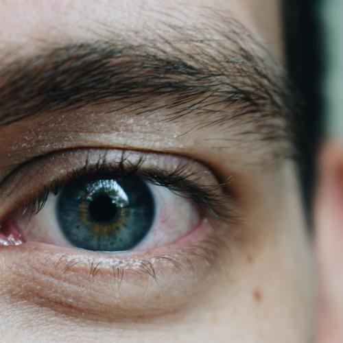 Photo #4071903