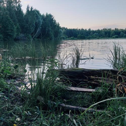 On the lake