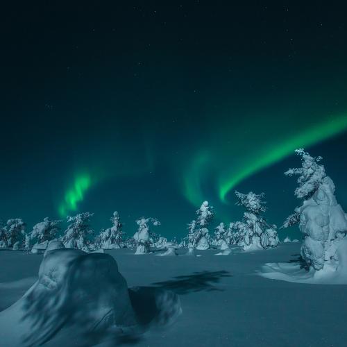 Photo #4071948