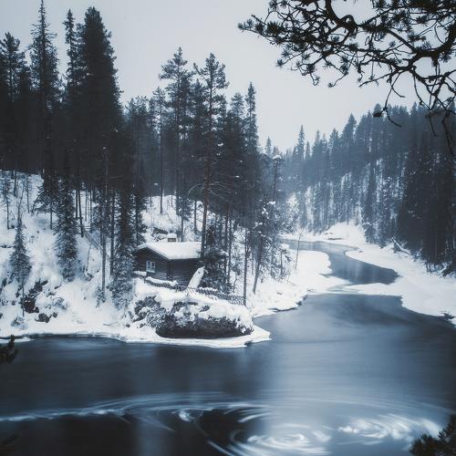 Photo #4071949