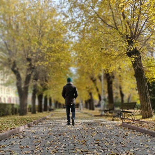 Photo #4072285