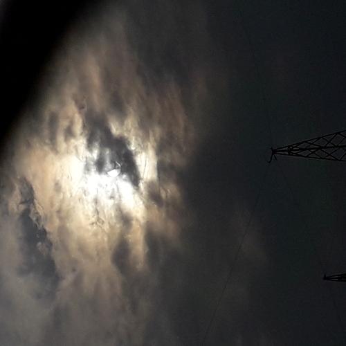 Photo #4072317