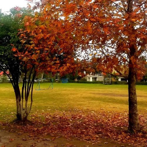 Photo #4072642