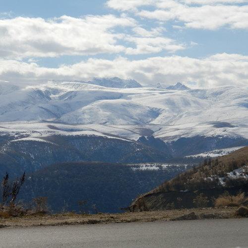 Photo #4072667