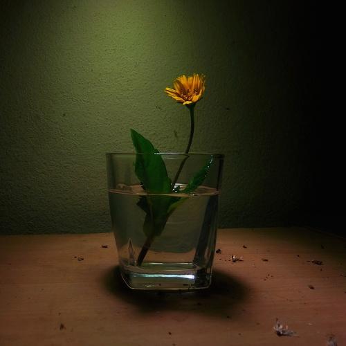 Photo #4072742