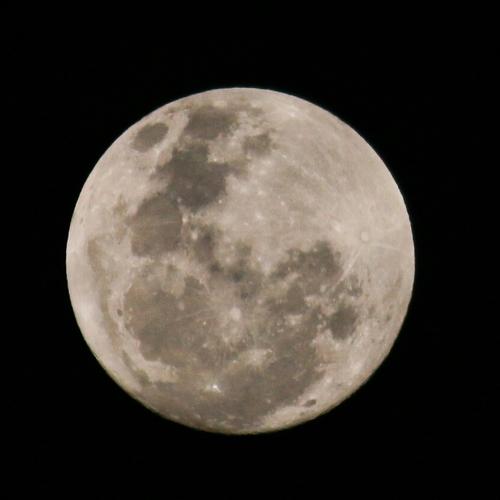 Photo #4072765