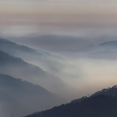 Photo #4072852