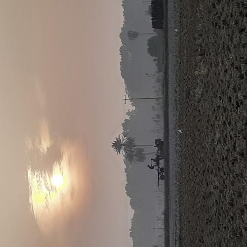 Photo #4072872