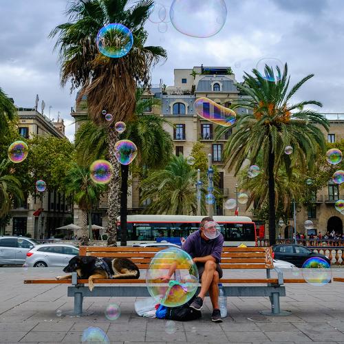 Photo #4072893