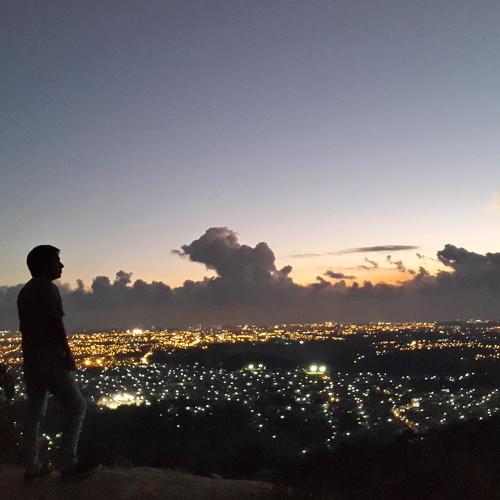 Photo #4072917